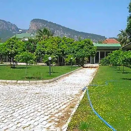 Hotel Blue Pine